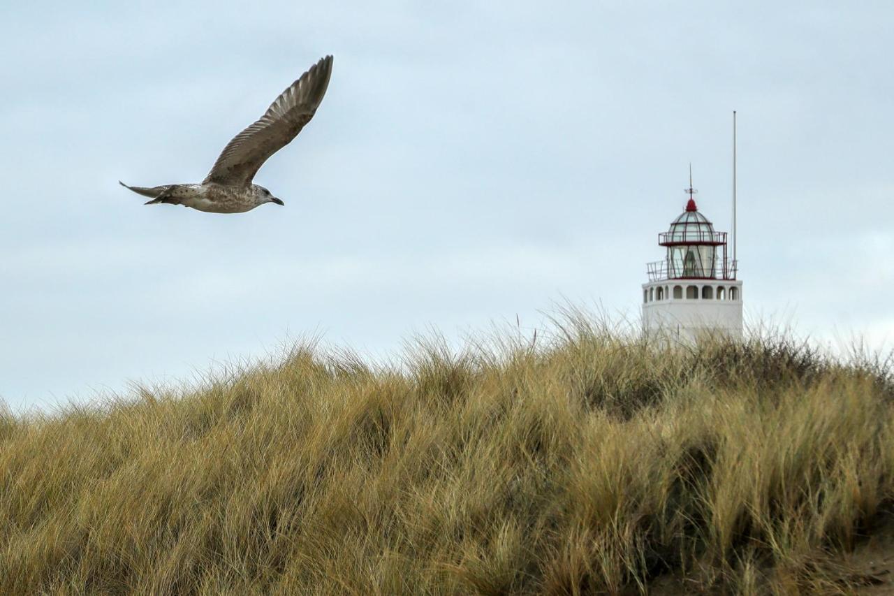 De Kroft Beach Residences Noordwijk Aan Zee Zewnętrze zdjęcie
